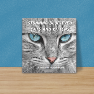 Blue Eyed Cats