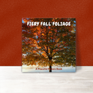 Fall Foliage