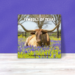 Texas Symbols
