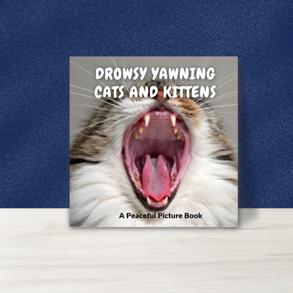 Yawning Cats